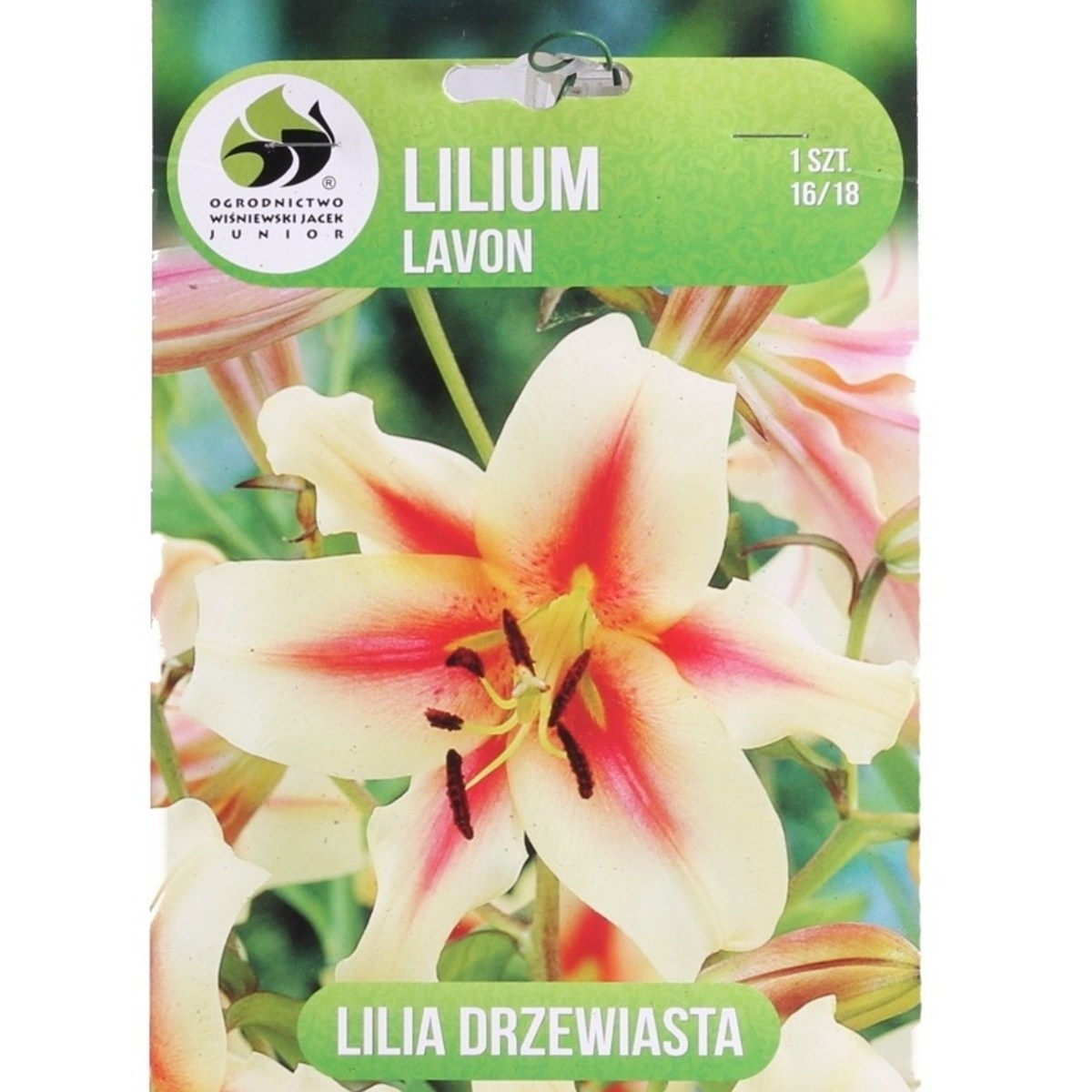 Lilie - Lilie Lavon 1ks