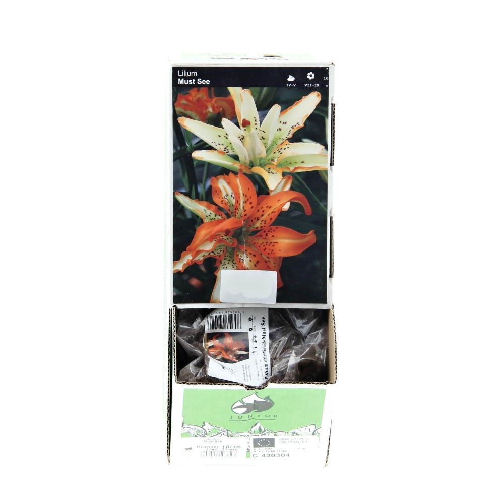Lilie - Lilie 'Must See' 1ks