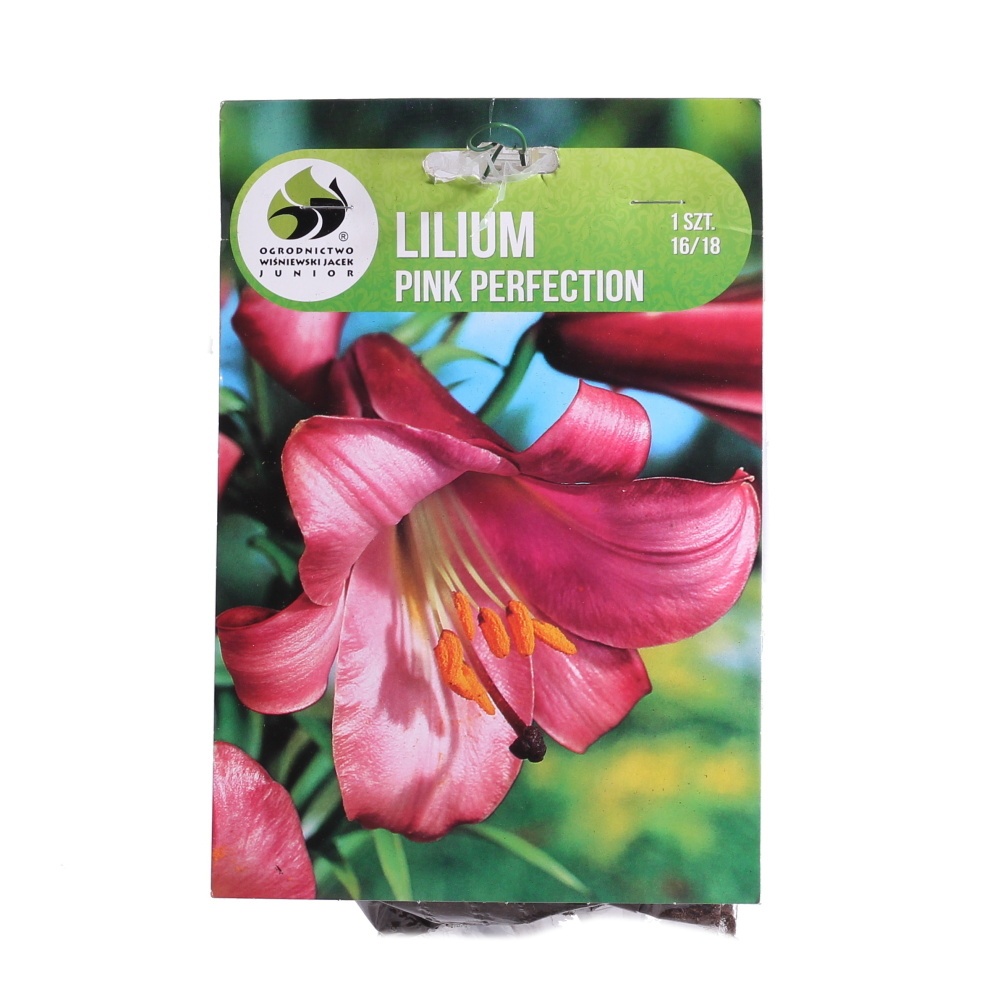 Lilie - Lilie Pink Perfection 1ks