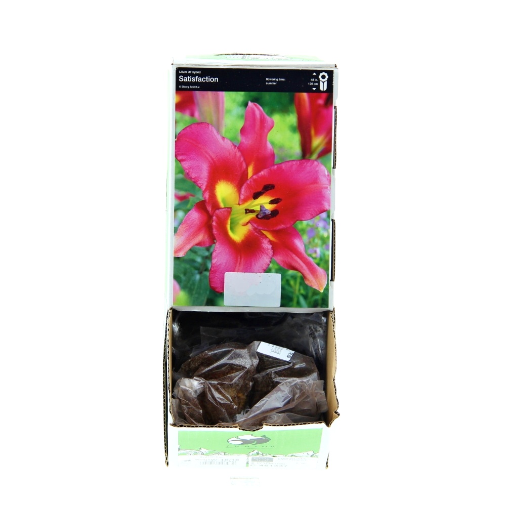 Lilie - Lilie Satisfaction 1ks