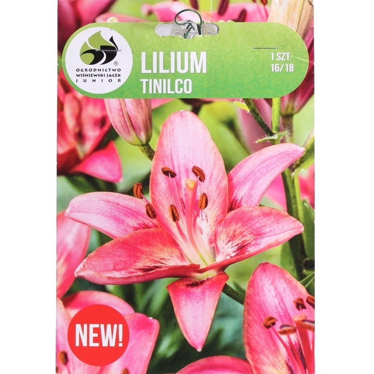 Lilie - Lilie Tinilco 1ks