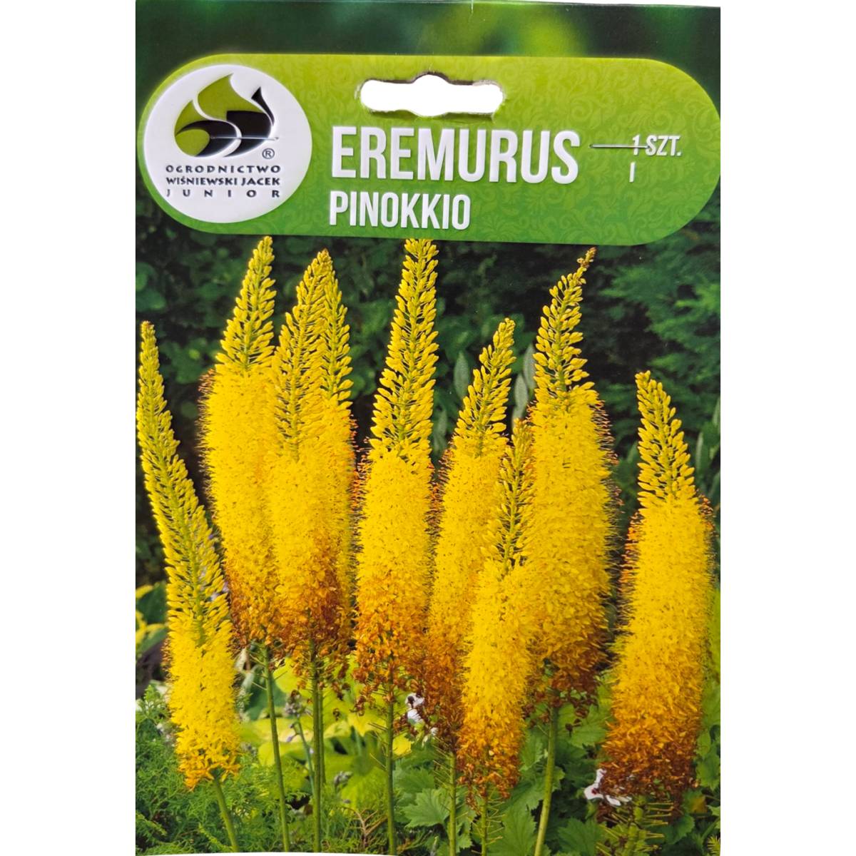 Ostatní jarní cibuloviny - Liliochvostec 'Pinokkio' 1ks