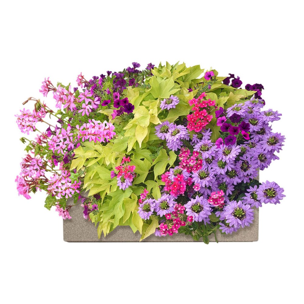 Květinové truhlíky - Limetkový koktejl Lechuza Stone