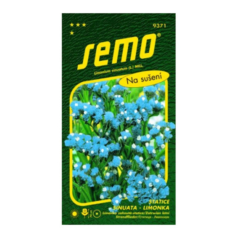Limonka Statice sinuata Ametyst modrá-0