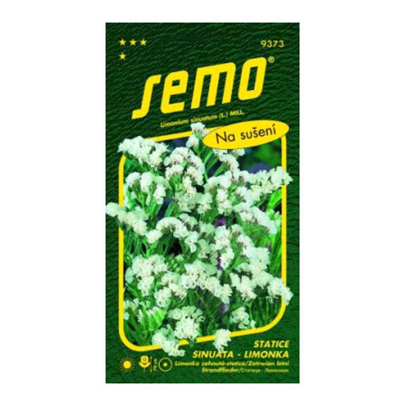 Limonka Statice sinuata Věncovka bílá-0
