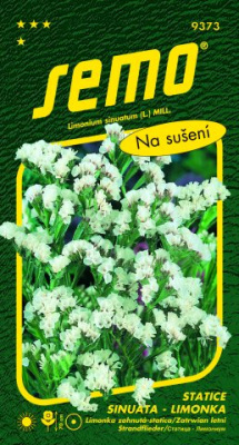 Osivo letniček - Limonka Statice sinuata Věncovka bílá