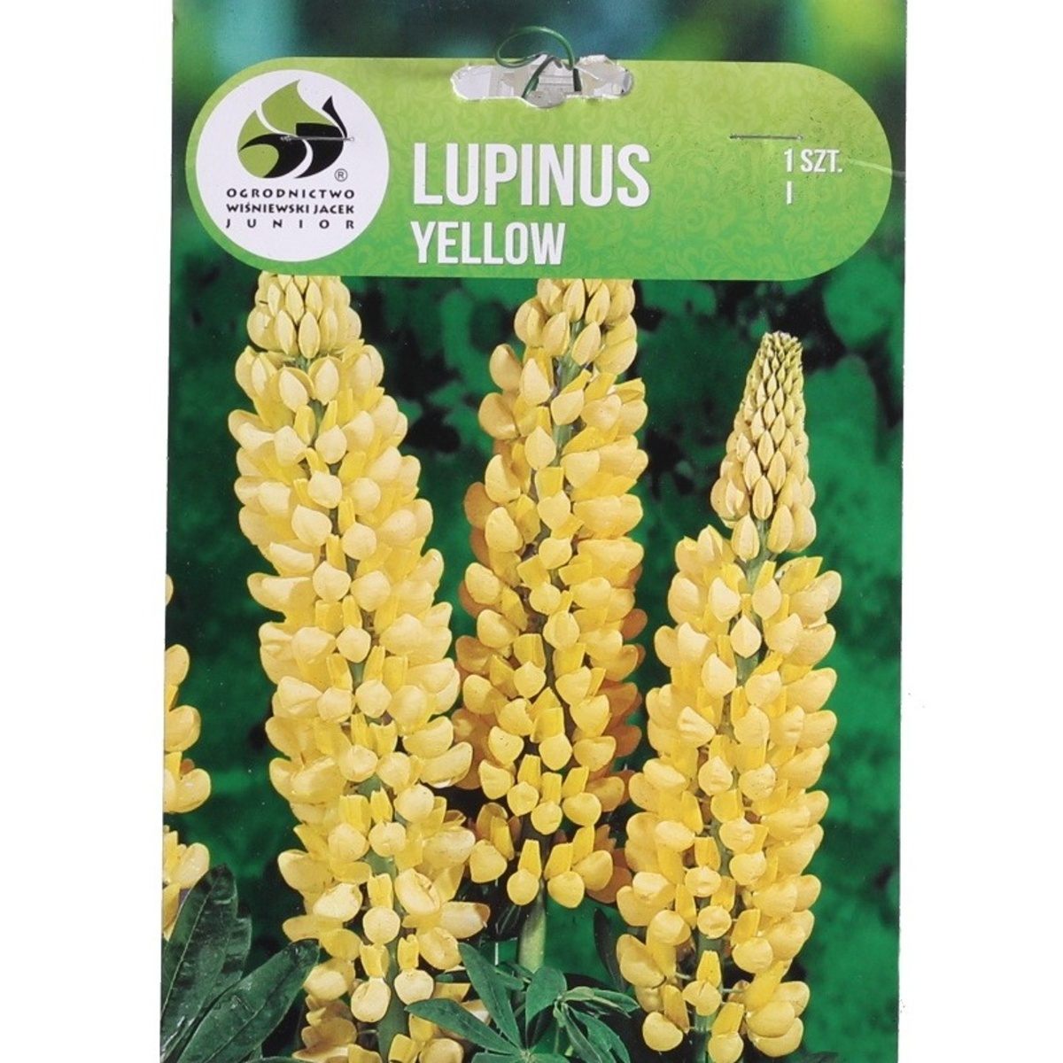 Ostatní jarní cibuloviny - Lupina Yellow 1ks