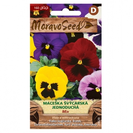 Maceška švýcarská jednoduchá směs-0