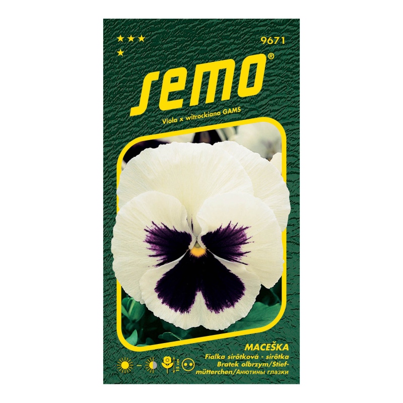 Maceška zahradní bílá s okem-0