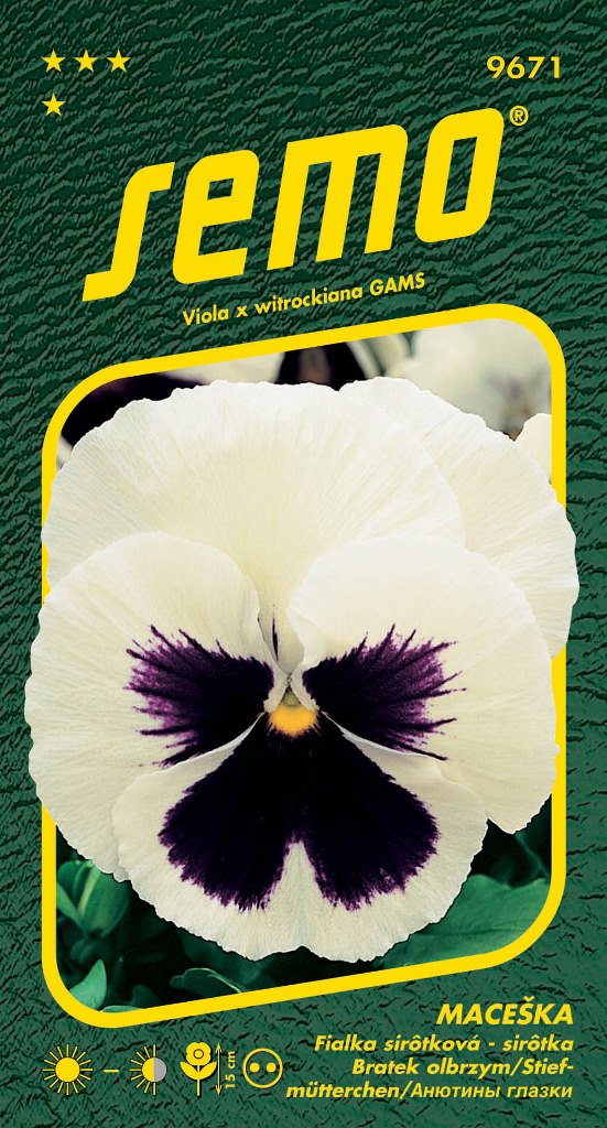 Osivo dvouletek - Maceška zahradní bílá s okem