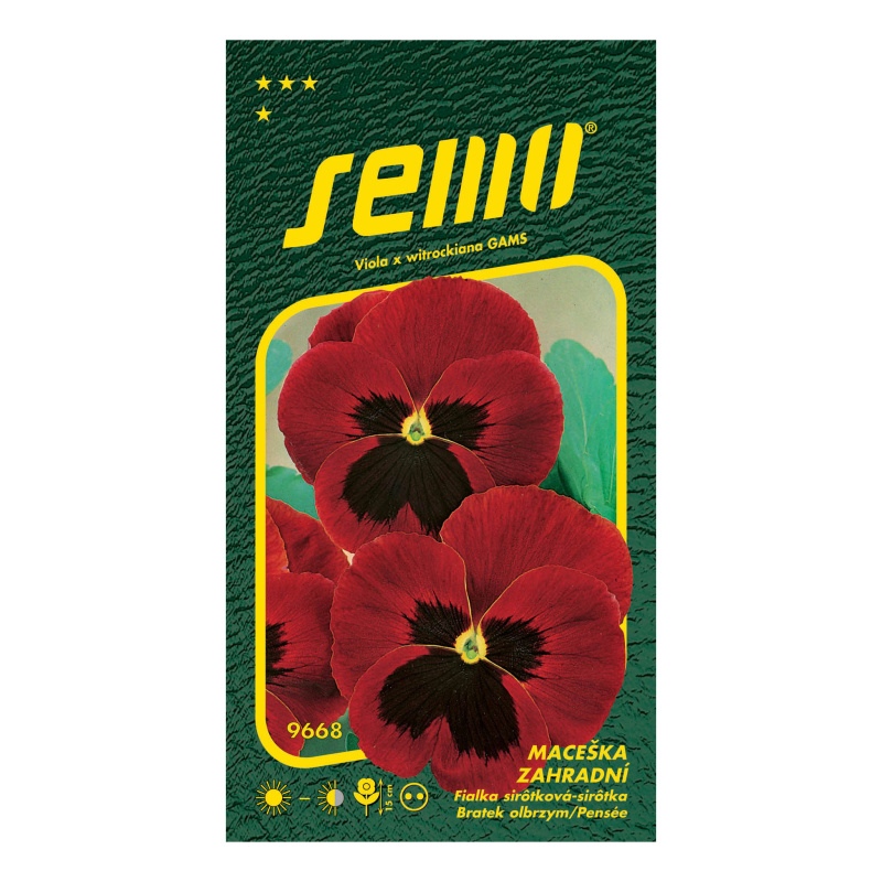 Maceška zahradní červená s okem-0