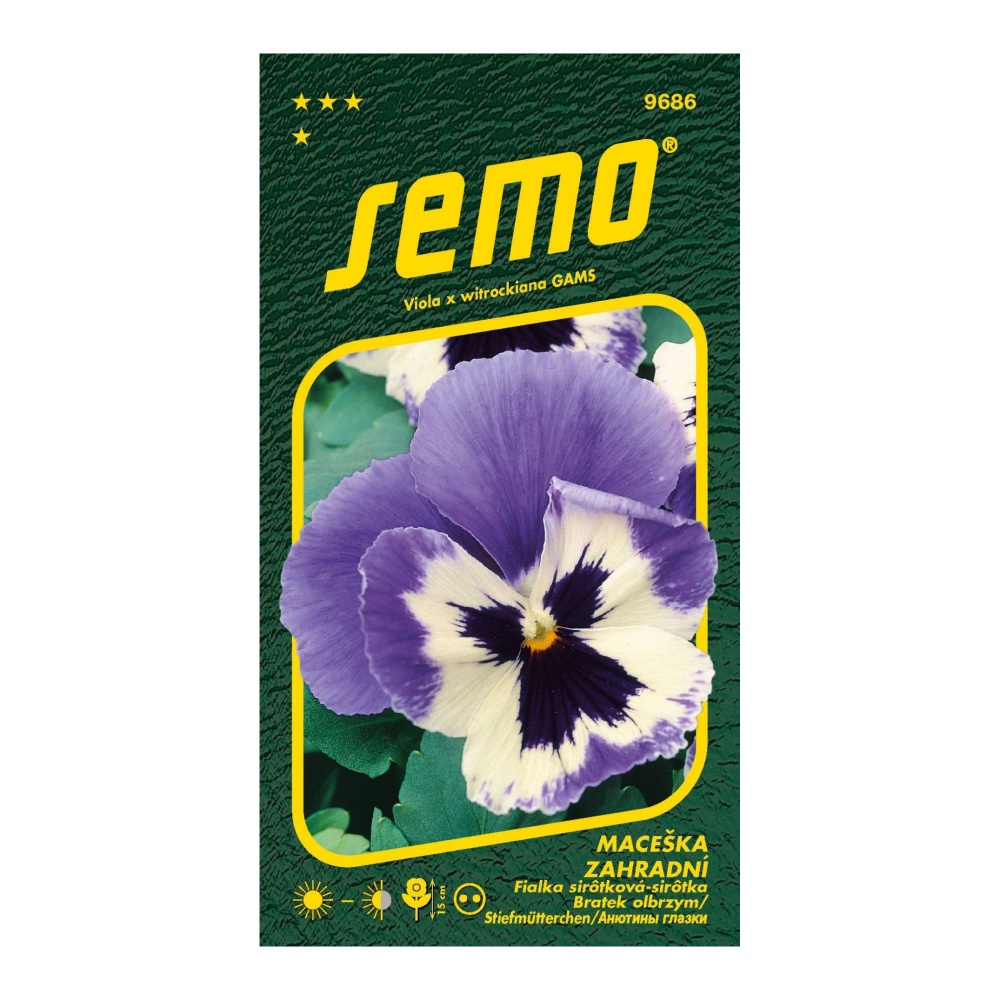 Osivo dvouletek - Maceška zahradní Glacier Ice Violet White