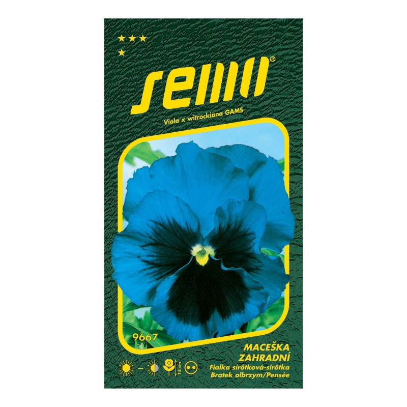 Maceška zahradní modrá s okem-0