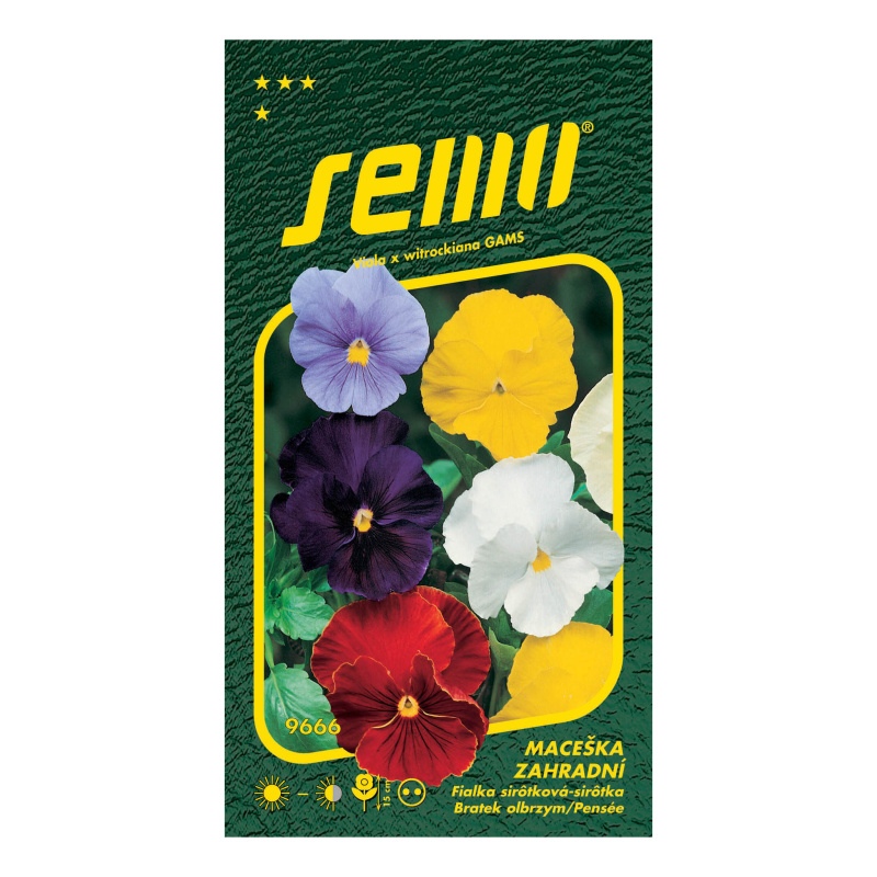 Maceška zahradní směs bez oka-0