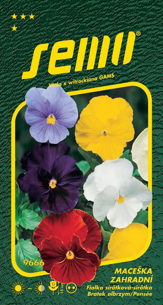 Osivo dvouletek - Maceška zahradní směs bez oka