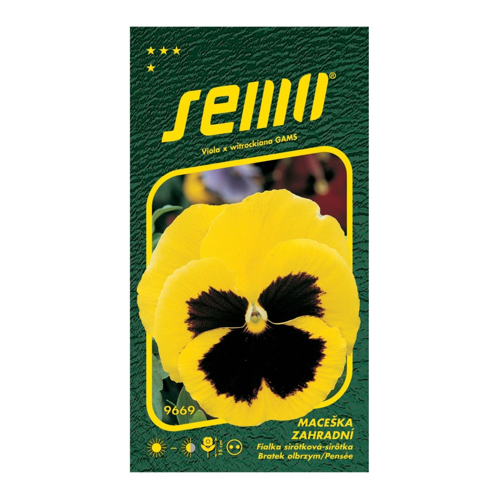 Osivo dvouletek - Maceška zahradní žlutá s okem