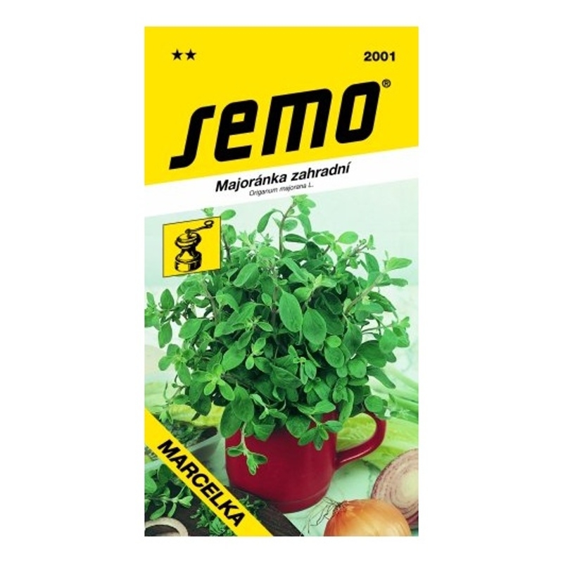 Majoránka Marcelka (léčivka)-0