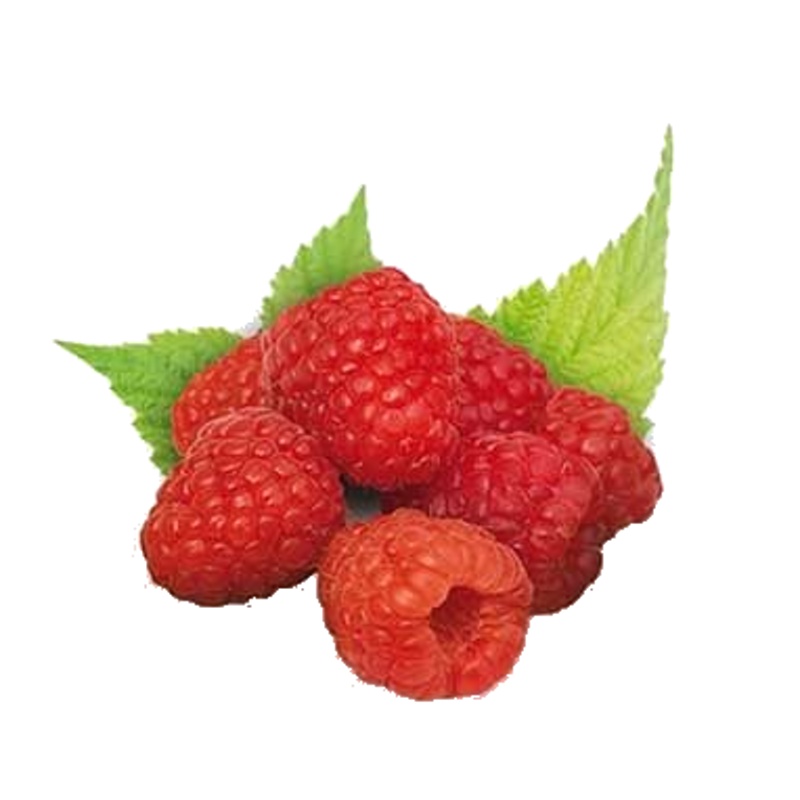 Maliník Glen Ample výška 55cm, 1,8 litru, jednouplodící-0