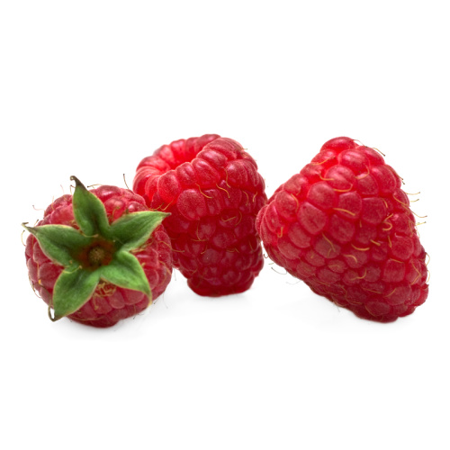 Maliníky - Maliník 'Gordost Rosii' květináč 2 litry, JEDNOUPLODÍCÍ