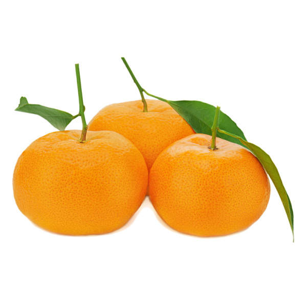 Mandarinka mini kmínek, 5 litrů-0