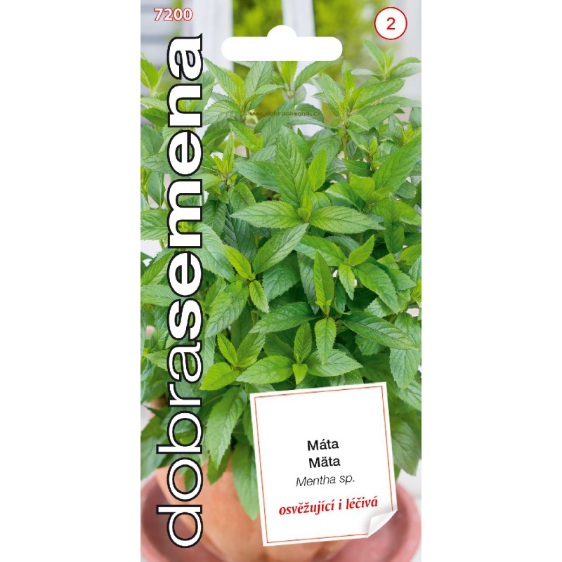 Osivo bylinek - Máta (DS)