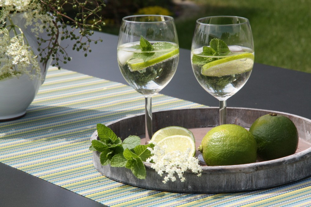 Máta Hugo koktejl BIO květináč 12cm-0