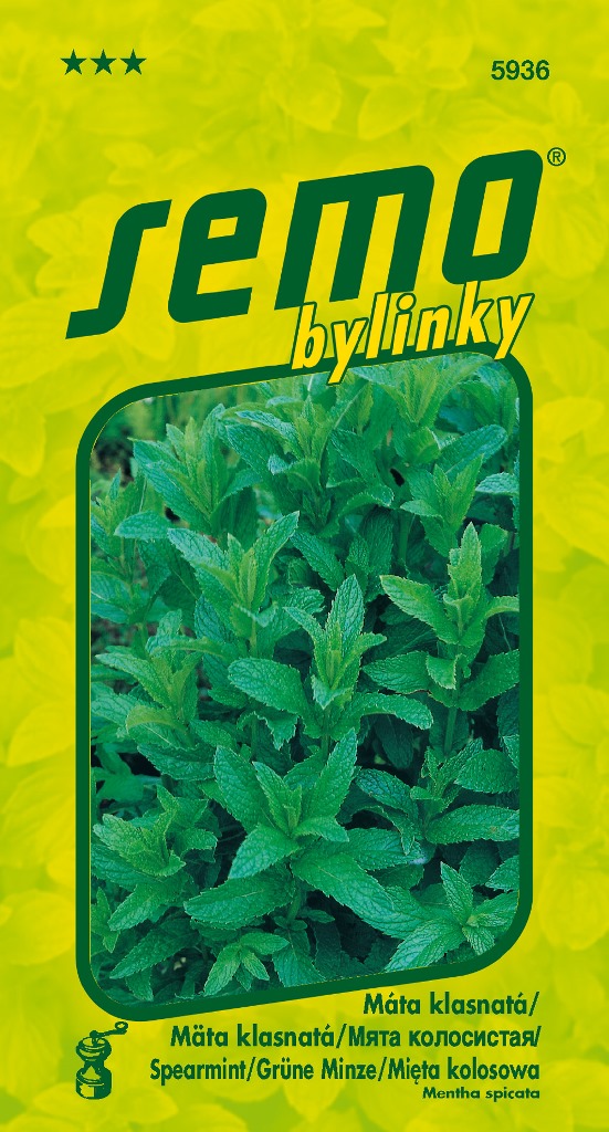 Osivo bylinek - Máta klasnatá 0,15g