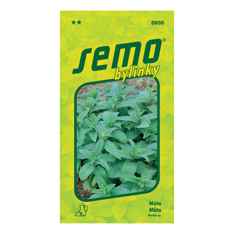 Máta peprná-0