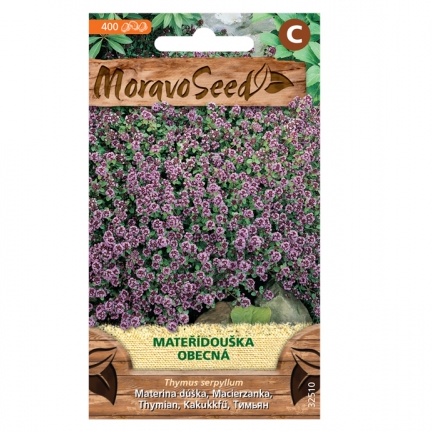 Osivo bylinek - Mateřídouška (MS)