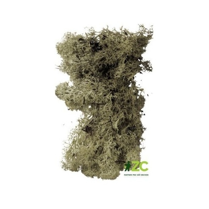 Přízdoby - Mech preparovaný přírodní 20g