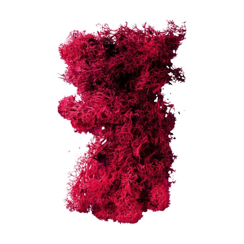 Přízdoby - Mech preparovaný ROSTETO červený 20g