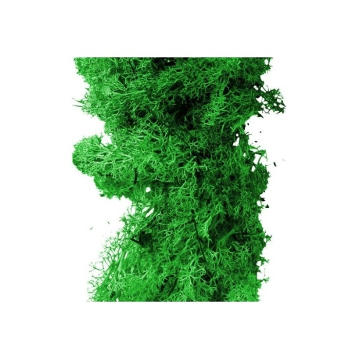 Přízdoby - Mech preparovaný sv.zelený 20g