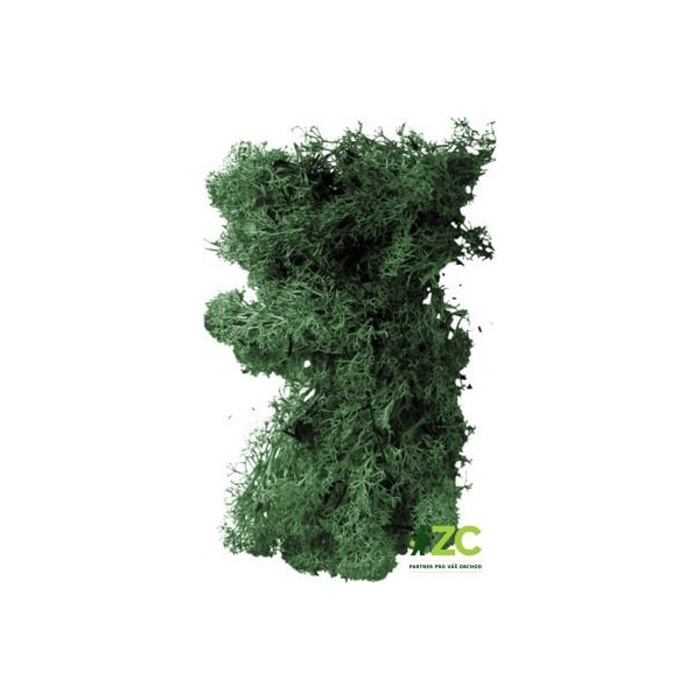 Přízdoby - Mech preparovaný tmavě zelený 20g