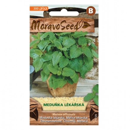 Osivo bylinek - Meduňka lékařská (MS)