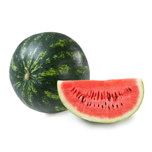 Roubovaná sadba - Meloun Fire Ball roubovaný 12cm