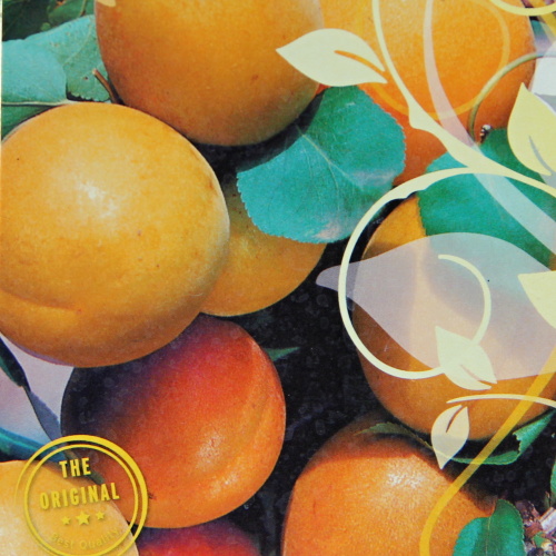 Meruňka 'Orange Beauty' květináč 10 litrů, kmínek 30cm, zákrsek, SAMOSPRAŠNÁ-0