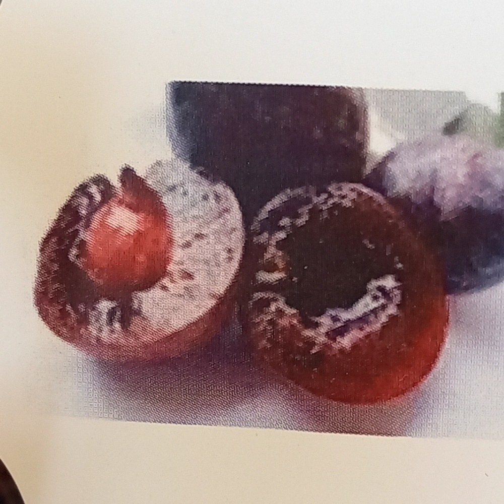 Meruňky - Meruňka Redtastetic Johannes květináč 10 litrů, zákrsek