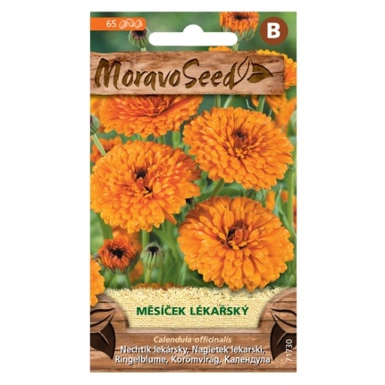 Osivo letniček - Měsíček lékařský (MS)