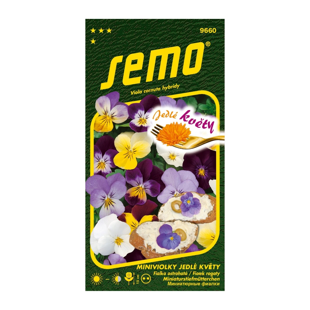 Osivo dvouletek - Miniviolka JEDLÉ KVĚTY