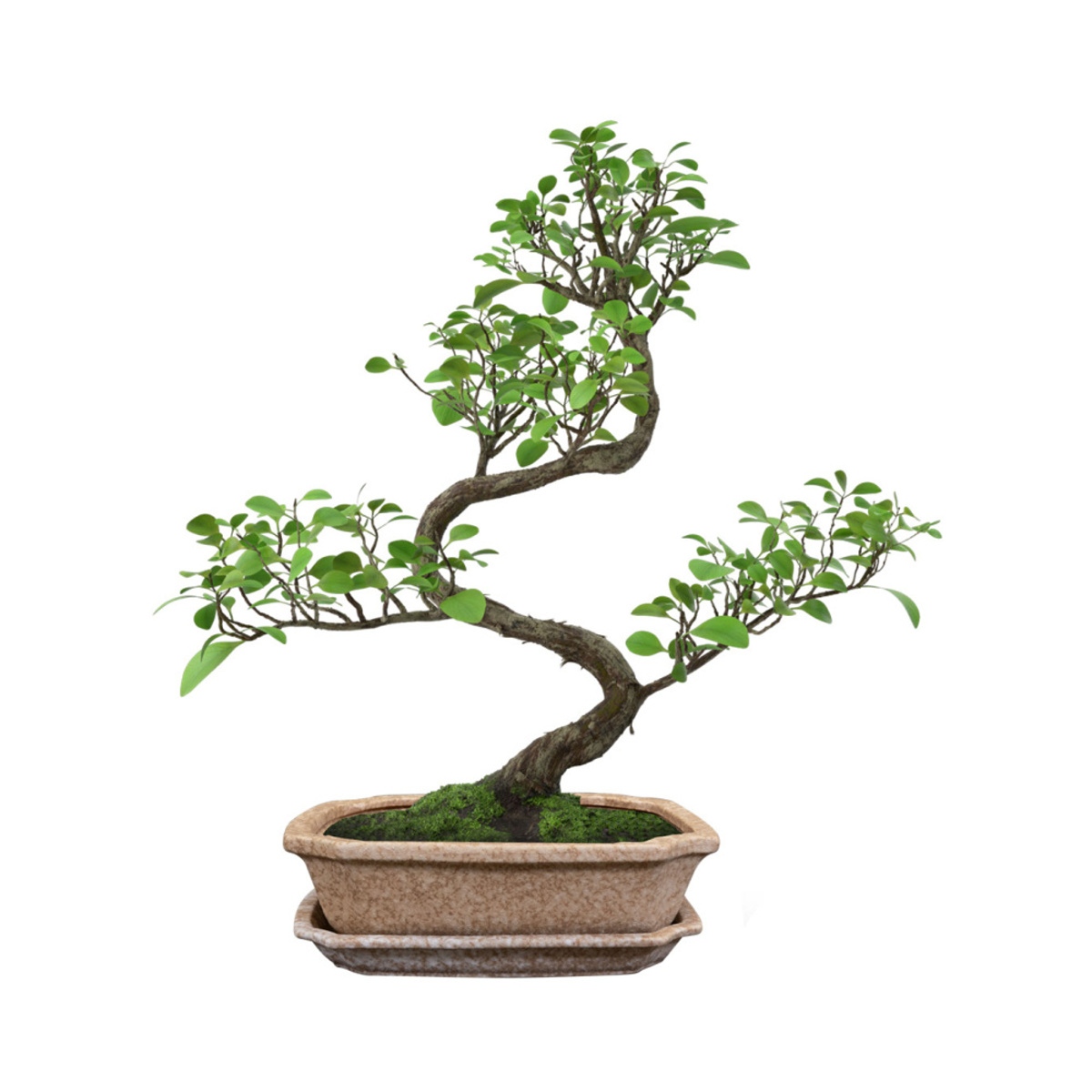 Miska hranatá s podmiskou keramická RIKI STONE písková 17x12cm-0