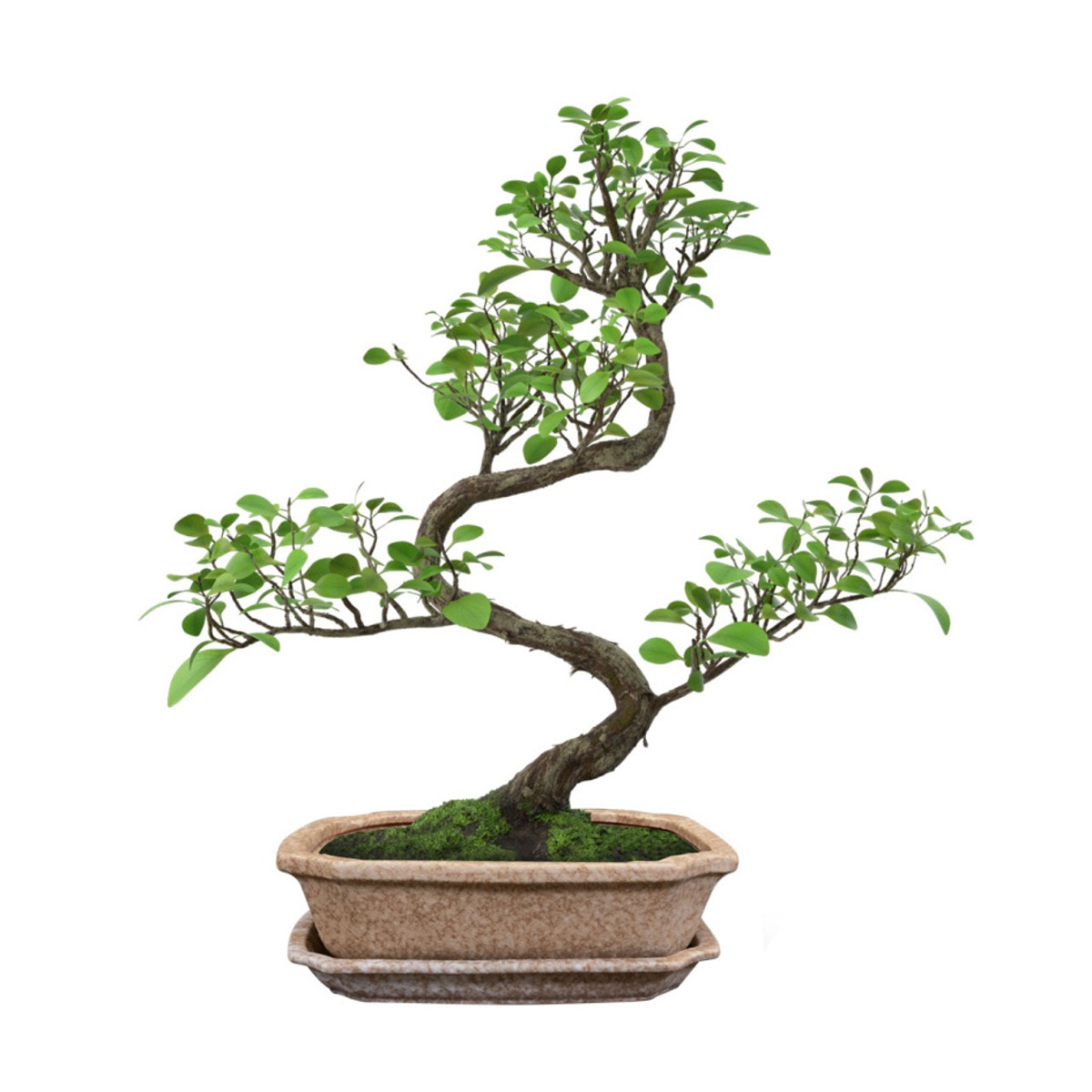 Miska hranatá s podmiskou keramická RIKI STONE písková 29x23cm-0