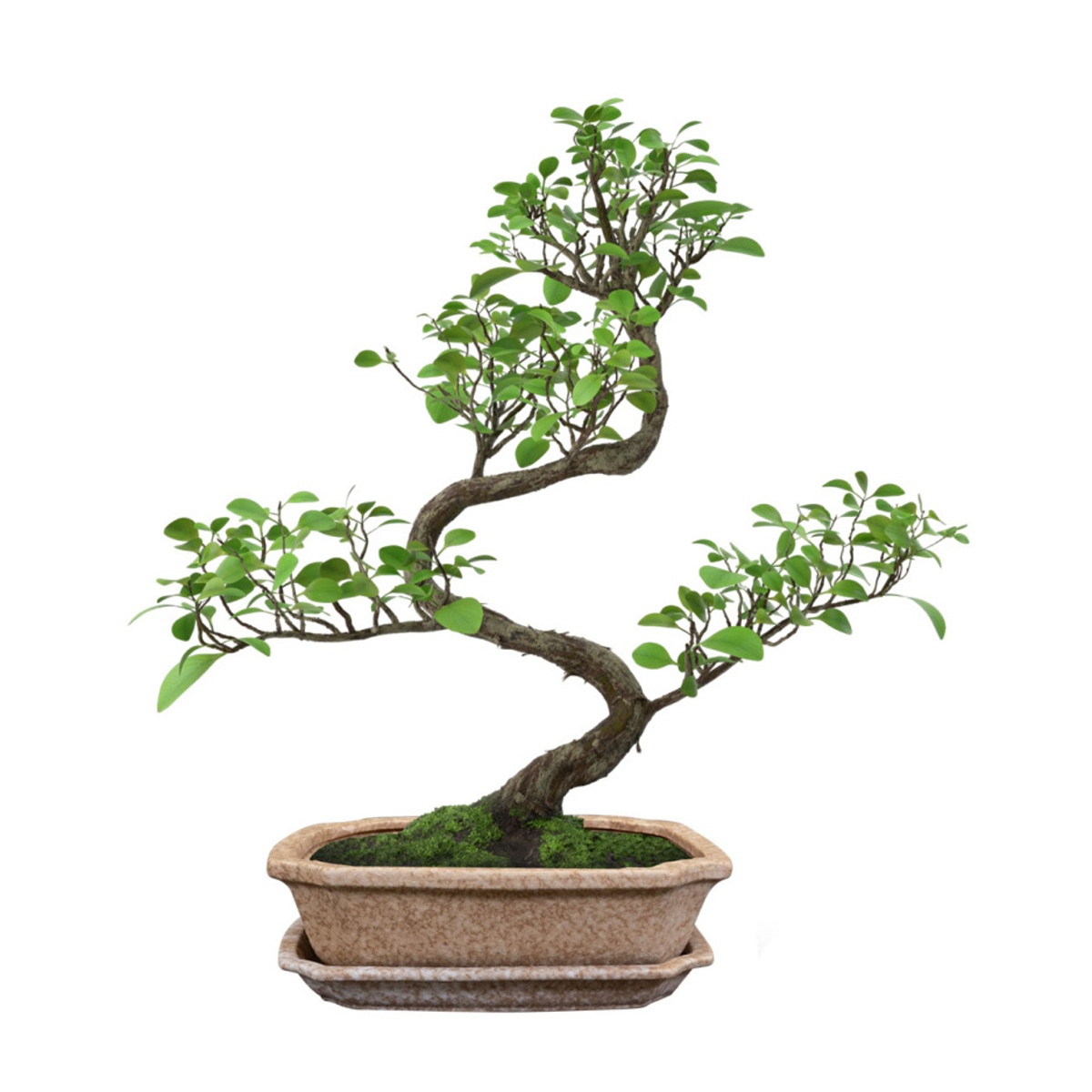 Miska hranatá s podmiskou keramická RIKI STONE písková 32x27cm-0