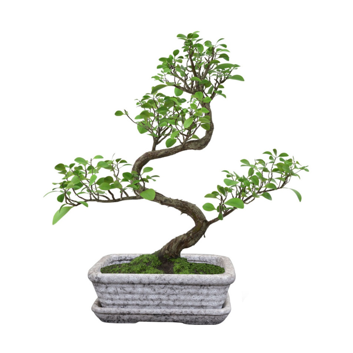 Miska hranatá s podmiskou keramická RIKI STONE sv.šedá 17x12cm-0