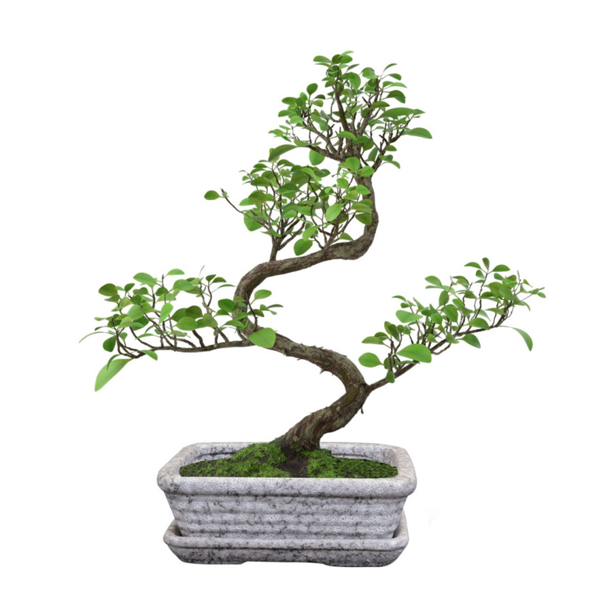 Miska hranatá s podmiskou keramická RIKI STONE sv.šedá 32x27cm-0