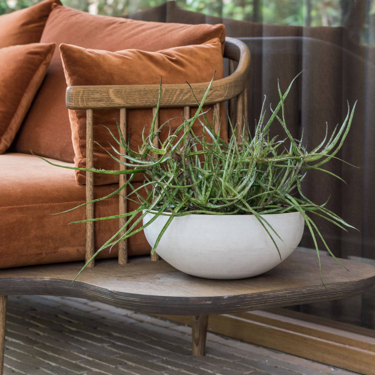 Miska kulatá MORGANA XS sandstone bílá 36,5cm-0