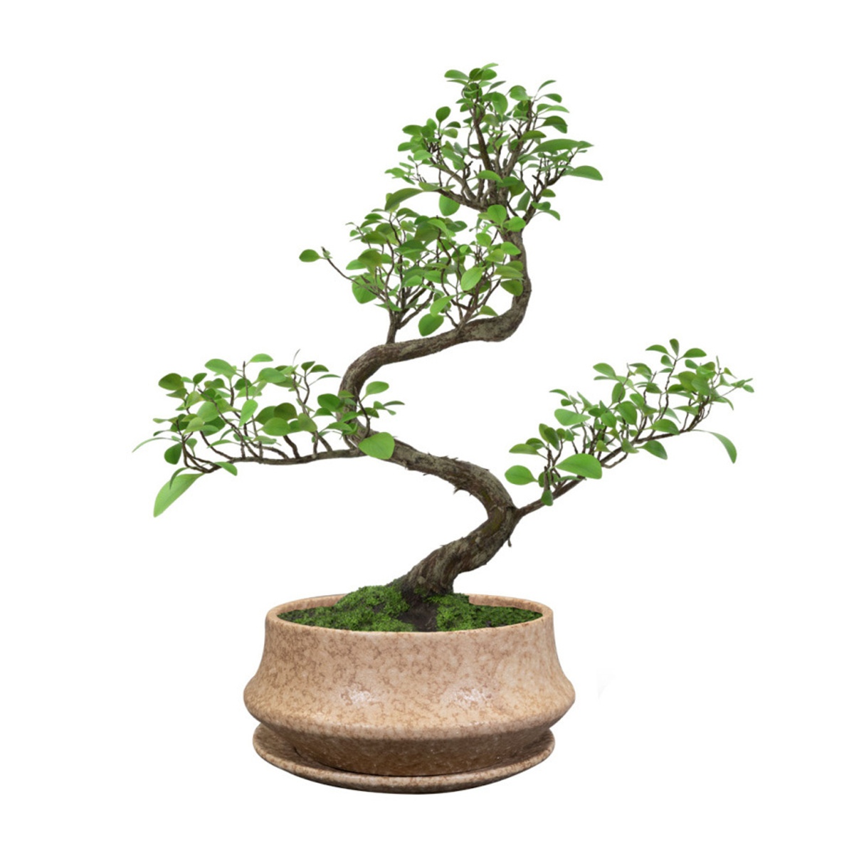 Miska kulatá s podmiskou keramická RIKI STONE písková 27cm-0