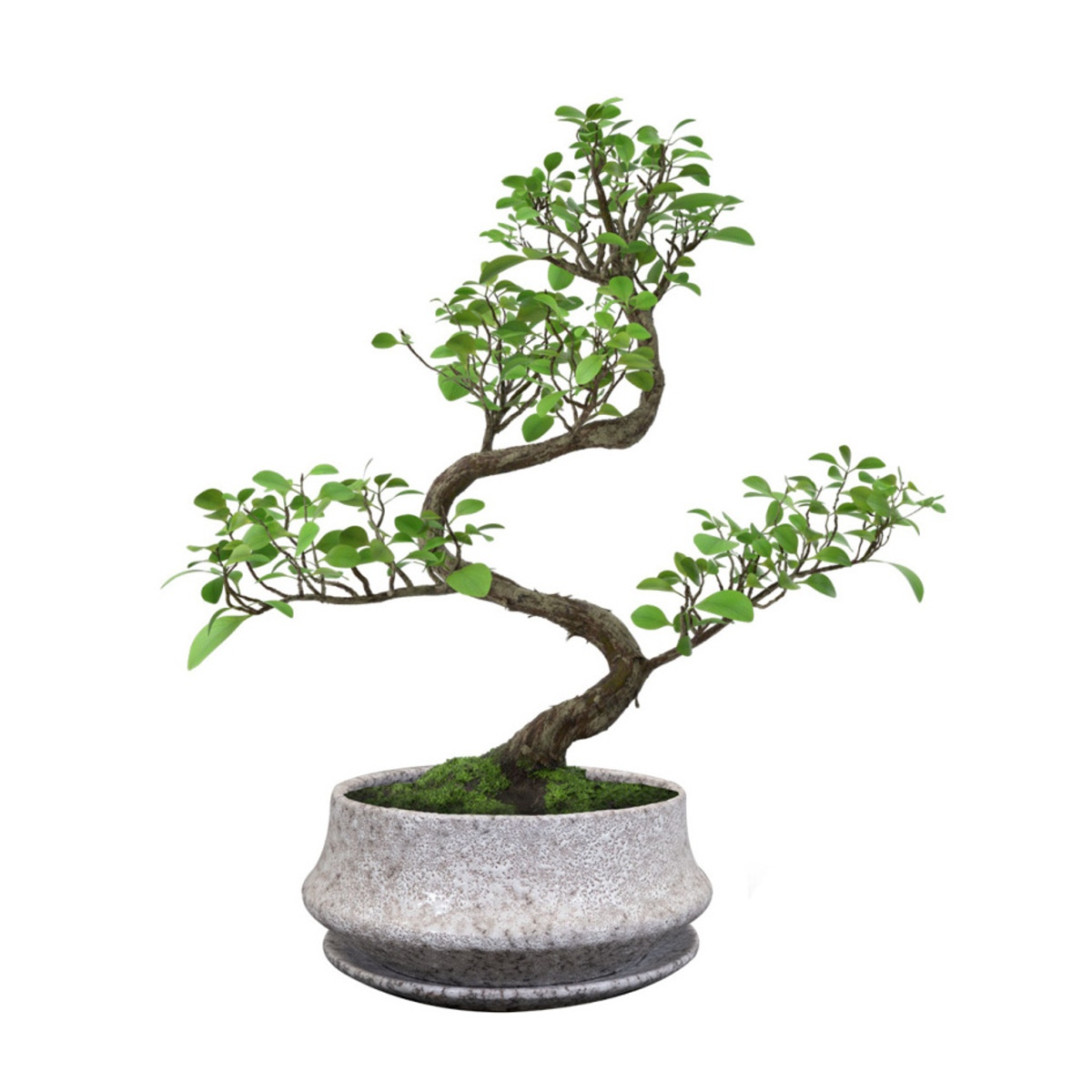 Miska kulatá s podmiskou keramická RIKI STONE sv.šedá 20cm-0