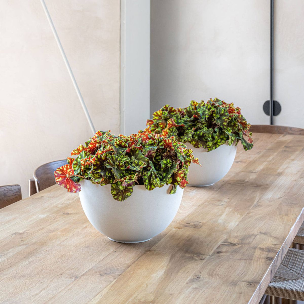 Miska kutalá PETER M sandstone bílá 30cm-0