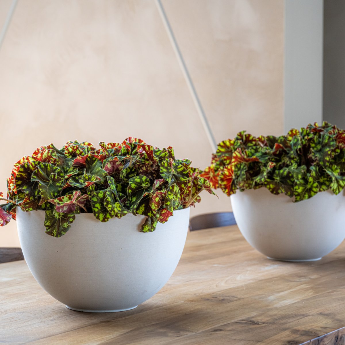 Miska kutalá PETER S sandstone bílá 20cm-0