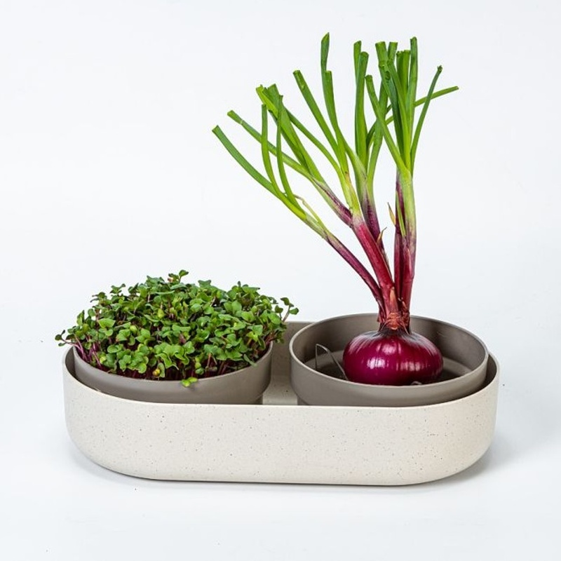 Miska na naklíčení MICROGREENS Regrow sl.kost 30,5cm-3